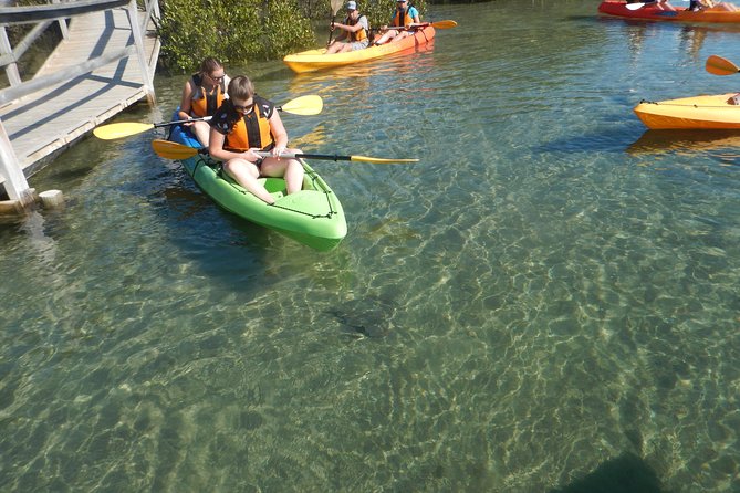 Batemans Bay Glass-Bottom Kayak Tour Over 2 Relaxing Hours - Starting at Region X in Surfside
