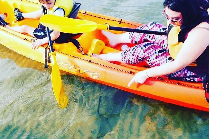 Batemans Bay Glass-Bottom Kayak Tour Over 2 Relaxing Hours - A good family outing, with a few limits