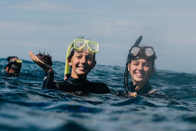 Batemans Bay Glass-Bottom Kayak Tour Over 2 Relaxing Hours - Timing, weather, and cancellation details