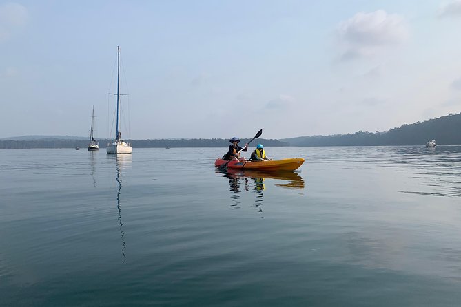 Batemans Bay Glass-Bottom Kayak Tour Over 2 Relaxing Hours - Who should book this Batemans Bay kayak tour?