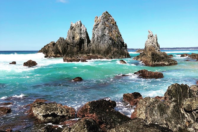 Batemans Bay Oyster Tasting Kayak Tour - Is $99.70 good value?
