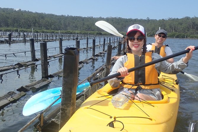 Batemans Bay Oyster Tasting Kayak Tour - Who will enjoy this Batemans Bay tour?