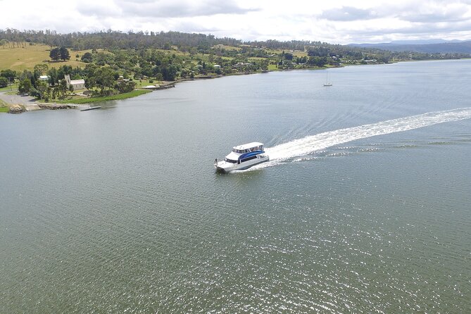 Batman Bridge 4 Hour Luncheon Cruise including sailing into the Cataract Gorge - Commentary, wildlife, and the questions worth asking