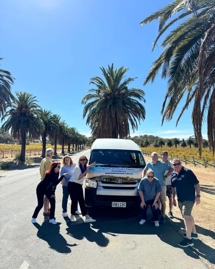 Best of Adelaide- City Highlights (Half-Day Tour) - The climb to Mount Lofty Summit