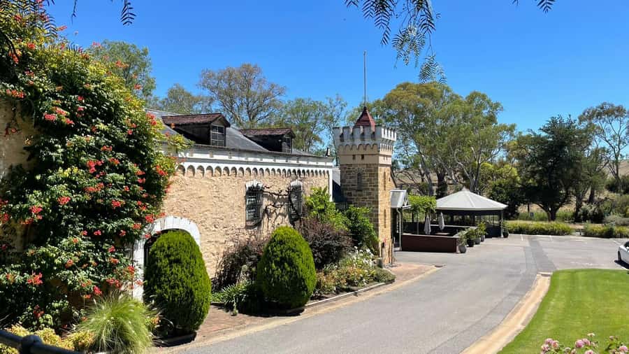 Best of Adelaide- City Highlights (Half-Day Tour) - The pace, vehicle, and guide