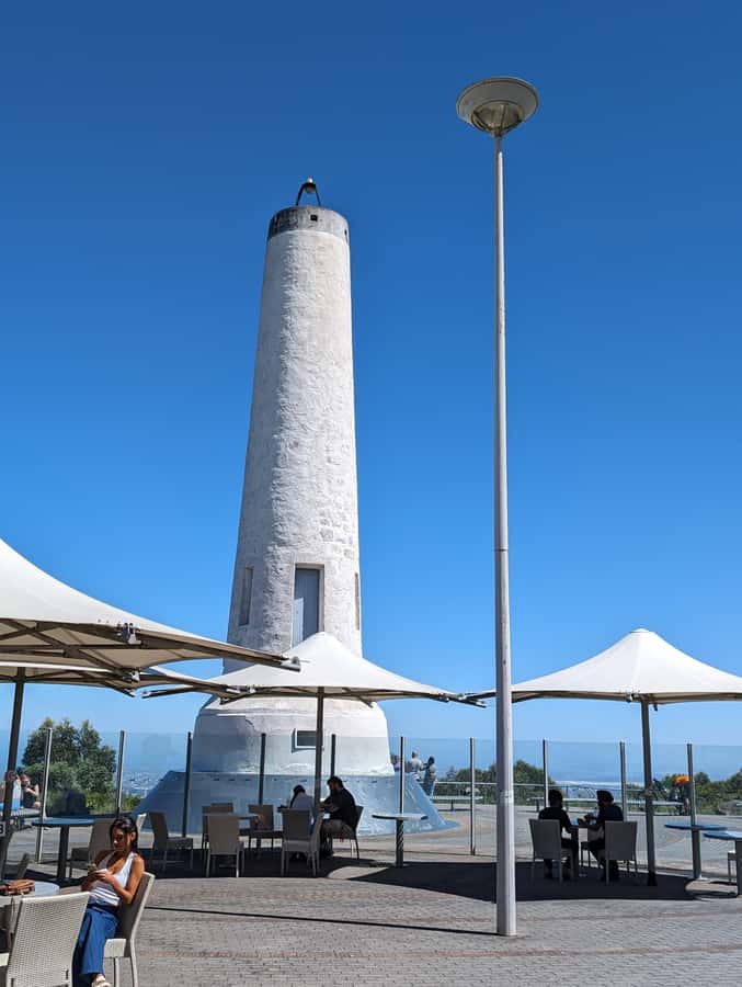 Best of Adelaide- City Highlights (Half-Day Tour) - Victoria Square and the Central Market