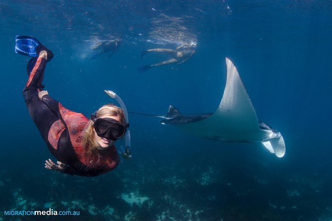 Best of Ningaloo Mantas and More - Gear, wetsuits, and comfort on board