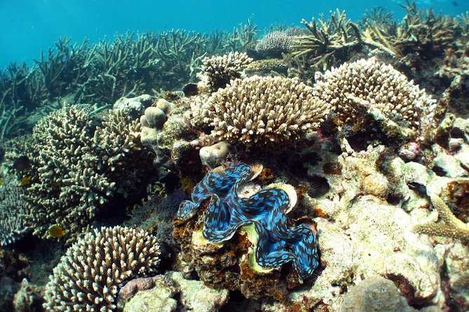 Best of Ningaloo Mantas and More - How the seven-hour schedule affects your day