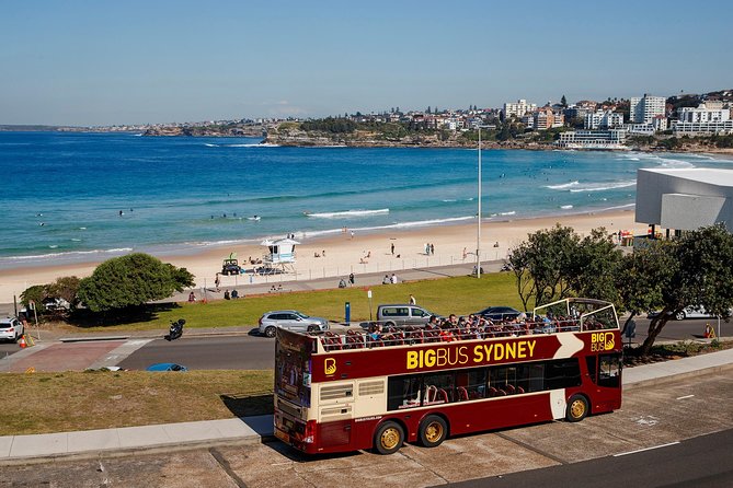 Big Bus Sydney and Bondi Hop-on Hop-off Tour - A smart first ride through central Sydney