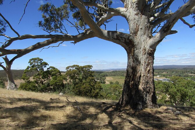 Big Red Full Day Private Tour - Tanunda is more than its main street