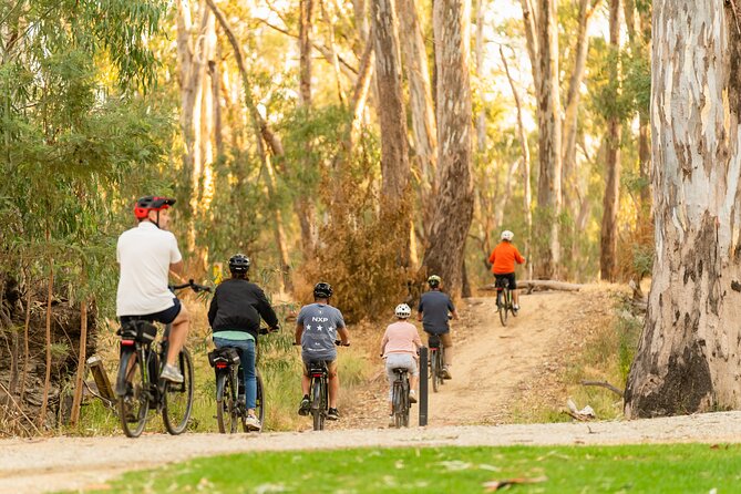 Bike to Winery Tour - Horseshoe Lagoon and the birdlife along the river