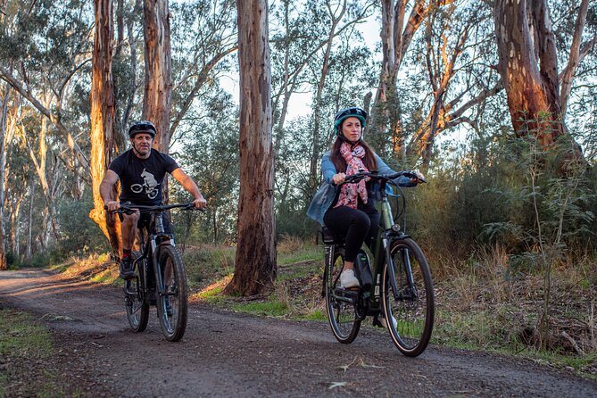 Bike to Winery Tour - Meeting point, group size, and booking advice