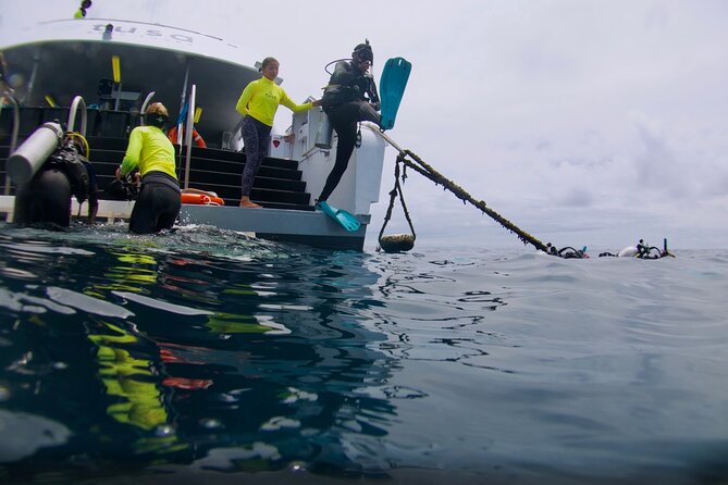 Blue Dive Private Guided Scuba Dive Cairns - A private way to see the Great Barrier Reef