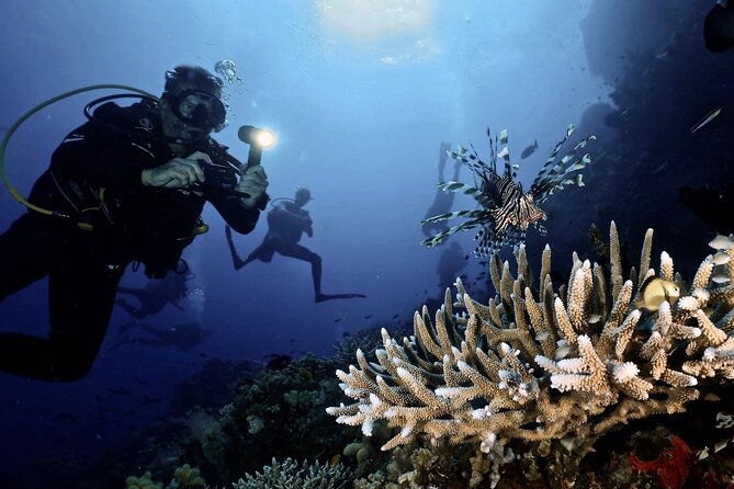 Blue Dive Private Guided Scuba Dive Cairns - Lunch, tea breaks, and a long day afloat