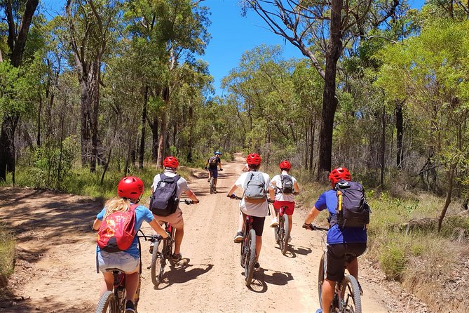 Blue Labyrinth PRIVATE Tour: Sydney Blue Mountains by E-Bike - What four hours on an electric mountain bike feels like