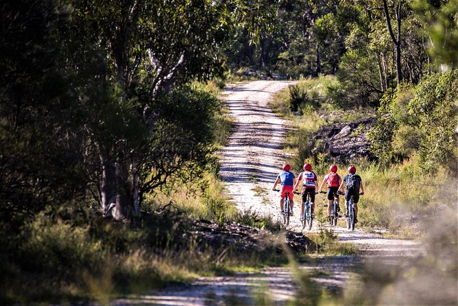 Blue Labyrinth PRIVATE Tour: Sydney Blue Mountains by E-Bike - A private guide makes the timing more useful