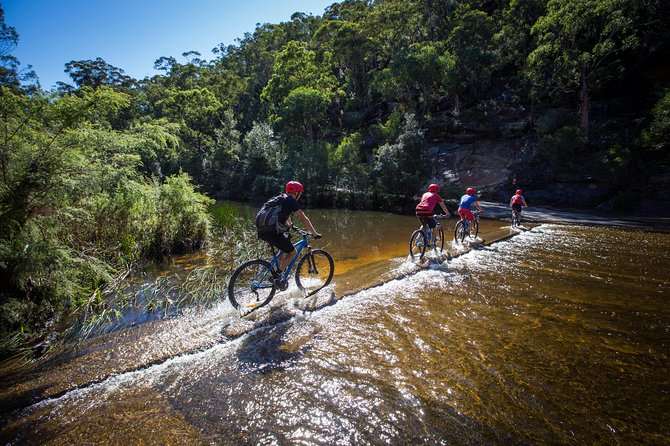 Blue Labyrinth PRIVATE Tour: Sydney Blue Mountains by E-Bike - My call: book it if you want the trails, not just the views