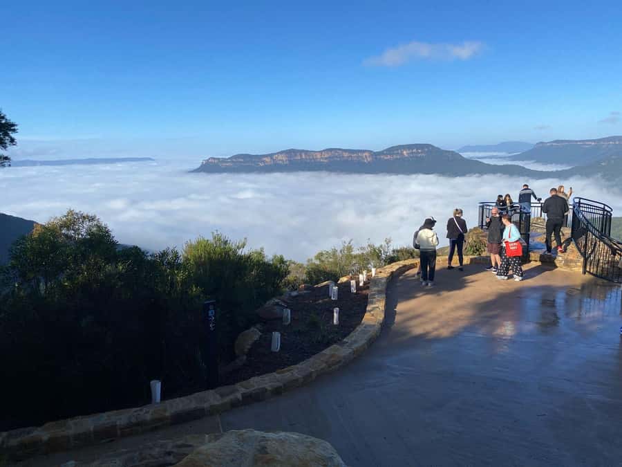 Blue Mountain: Small-Group Tour with Lunch & Scenic World - Who should book this tour?