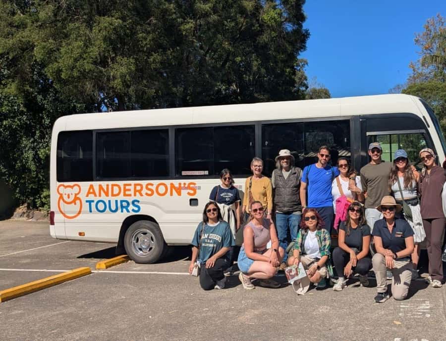 Blue Mountain: Small-Group Tour with Lunch & Scenic World - Lunch in the mountains