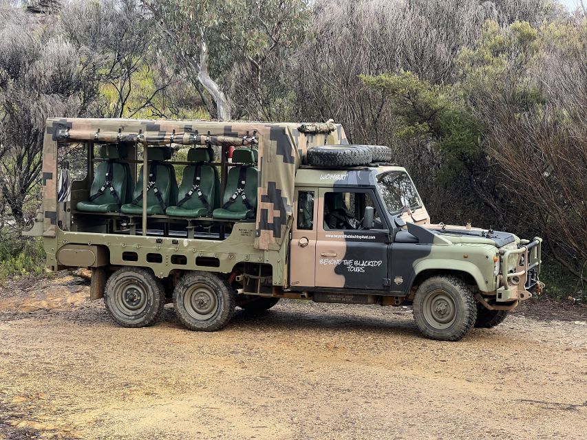 Blue Mountains 3 Hour Army Truck Adventures - What to know before you reserve