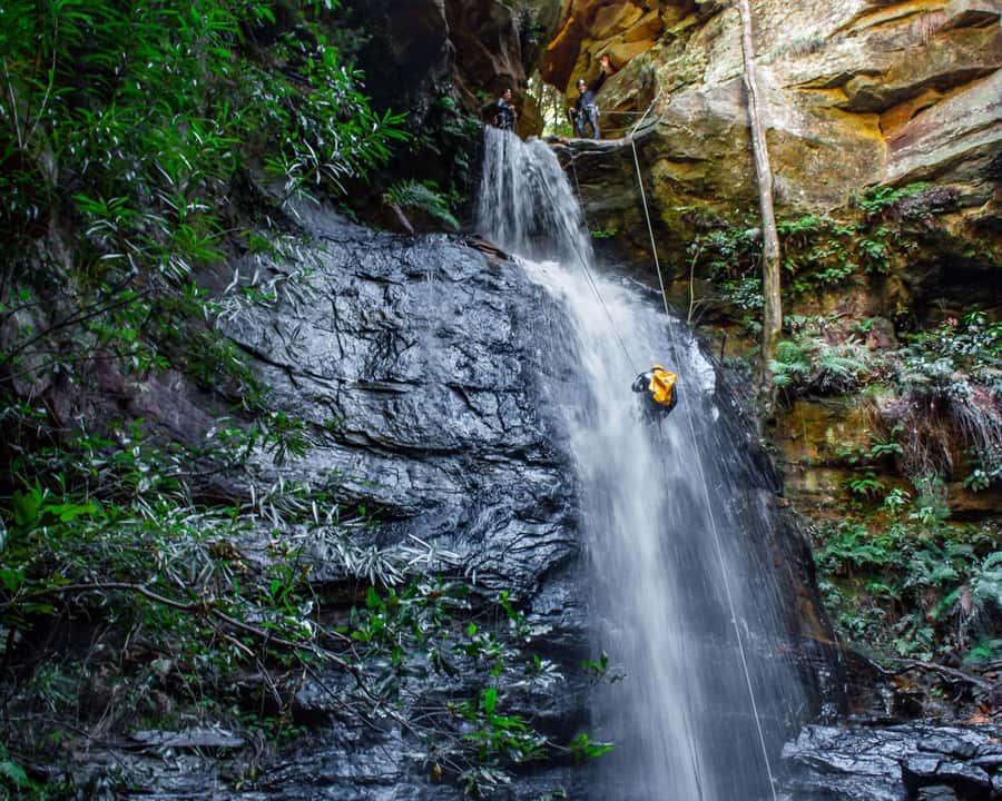 Blue Mountains: Abseiling and Canyoning Experience - Walking into the slot canyon