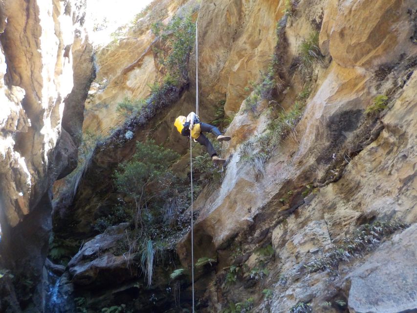 Blue Mountains: Abseiling and Canyoning Experience - The final 30-metre waterfall descent