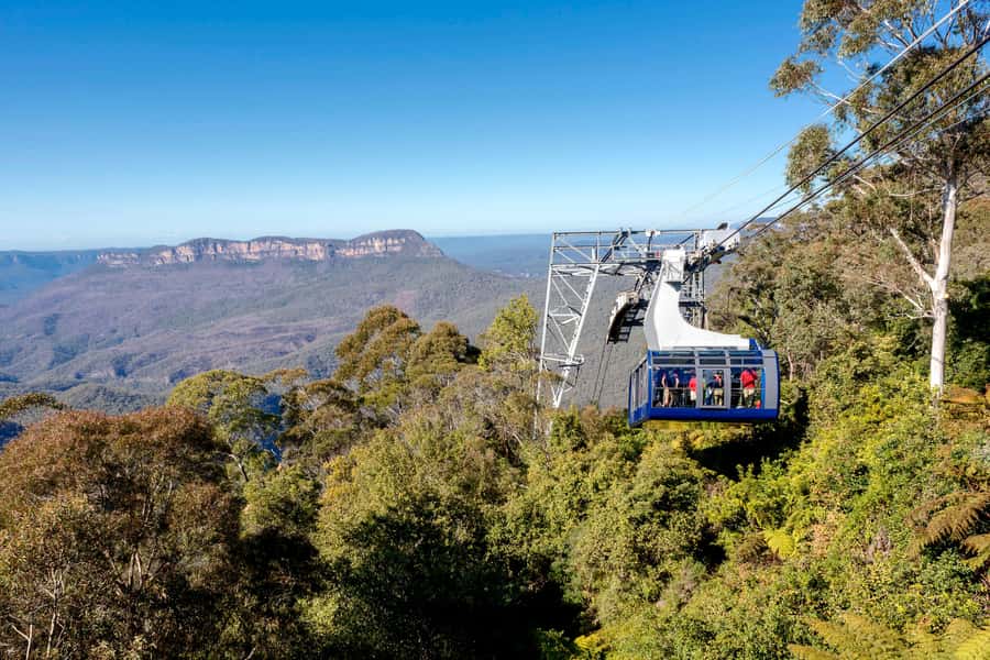 Blue Mountains Adventure: Scenic World, Zoo & Koala Photo - What makes this Blue Mountains day different