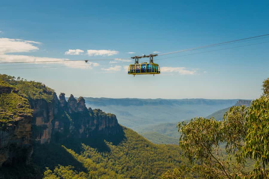 Blue Mountains Adventure: Scenic World, Zoo & Koala Photo - Why the $144 price can make sense
