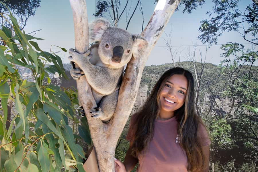 Blue Mountains Adventure: Scenic World, Zoo & Koala Photo - The three rides at Scenic World