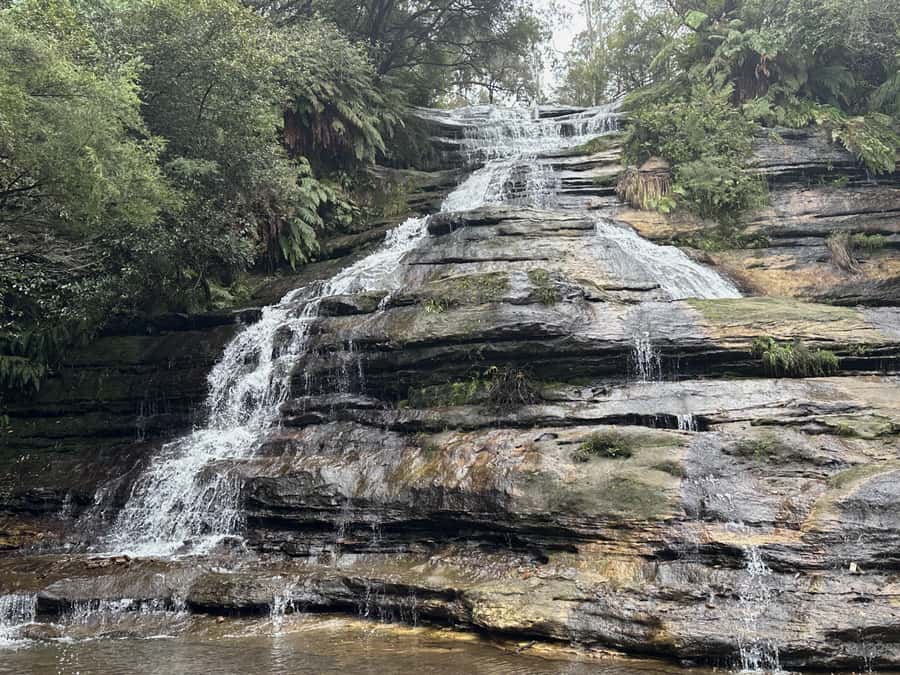 Blue Mountains Adventure: Scenic World, Zoo & Koala Photo - Leura for lunch and a small-town pause