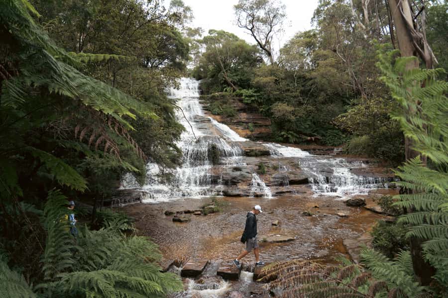Blue Mountains Adventure: Scenic World, Zoo & Koala Photo - Sydney Zoo and the koala photo