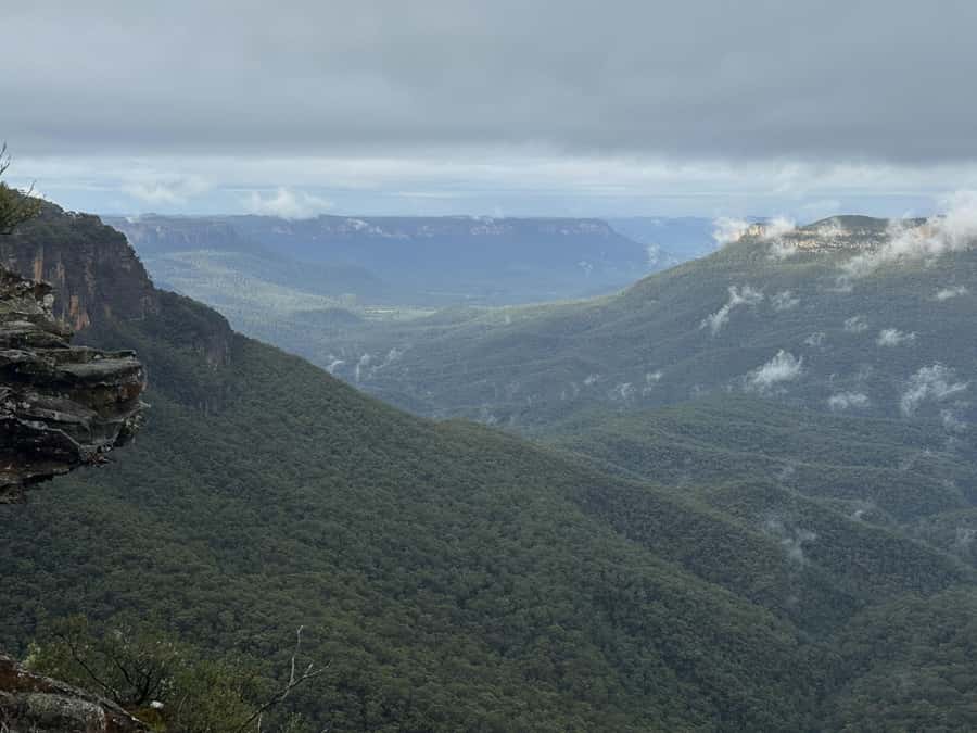 Blue Mountains Adventure: Scenic World, Zoo & Koala Photo - The ferry finish at Circular Quay