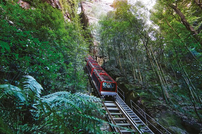 Blue Mountains Adventure w Scenic World, Zoo, Koala Photo & Ferry - Key points to know before you book
