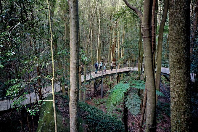 Blue Mountains Adventure w Scenic World, Zoo, Koala Photo & Ferry - Three lookouts, three different ways to see the Blue Mountains