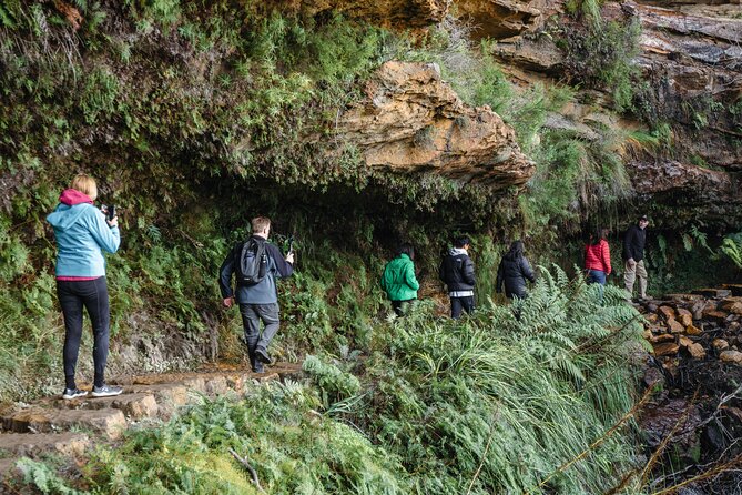 Blue Mountains Day Tour With Bushwalks, Waterfalls & Featherdale - How much value do you get for $135.56?