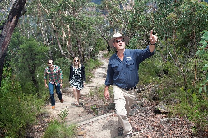 Blue Mountains Day Tour With Bushwalks, Waterfalls & Featherdale - From central Sydney to the mountain air