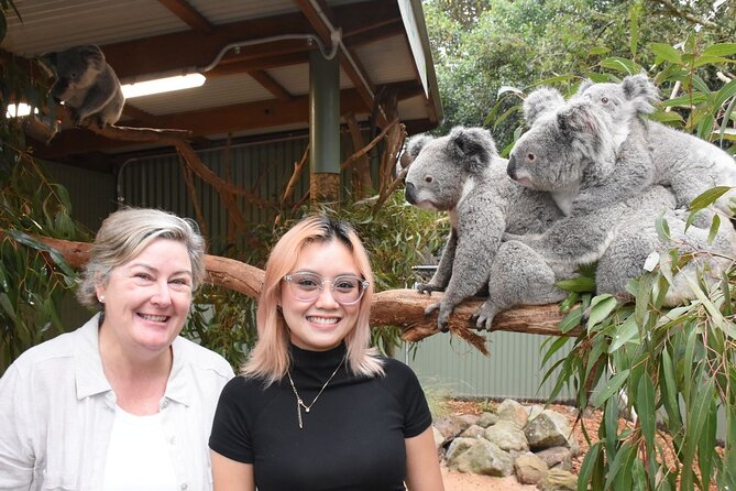 Blue Mountains Day Tour with Wildlife and Scenic World Entry - The optional Parramatta river cruise