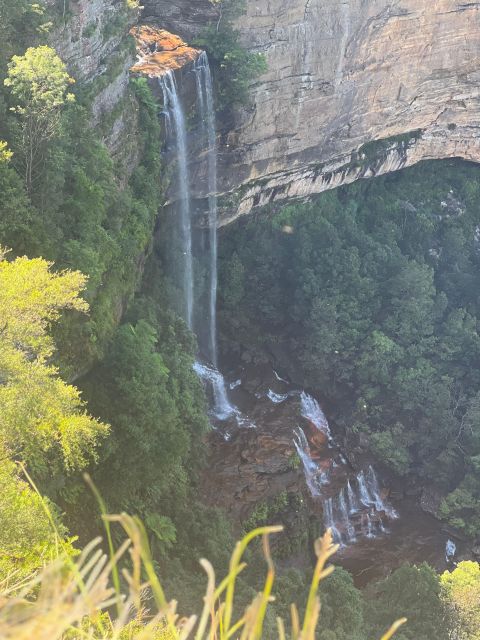 Blue Mountains: Full Day Guided Tour with Lunch - Who should book this tour?