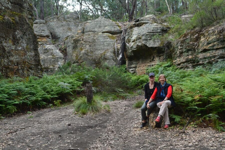 Blue Mountains: Full Day Guided Tour with Lunch - Quieter national park sites and 4WD access