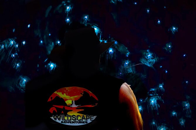 Blue Mountains Hiking Glow worms Cave Wildlife Spotlighting Night Adventure - Switching off the lamps beneath thousands of glowworms