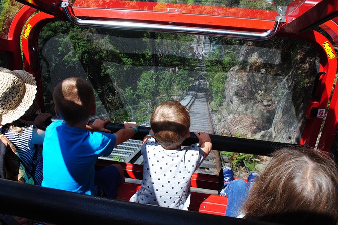 Blue Mountains Hop On Hop Off Tour - Scenic World and the Lyrebird Pass