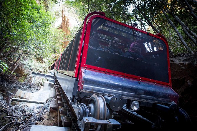 Blue Mountains Hop On Hop Off Tour - Is the $323 price good value?