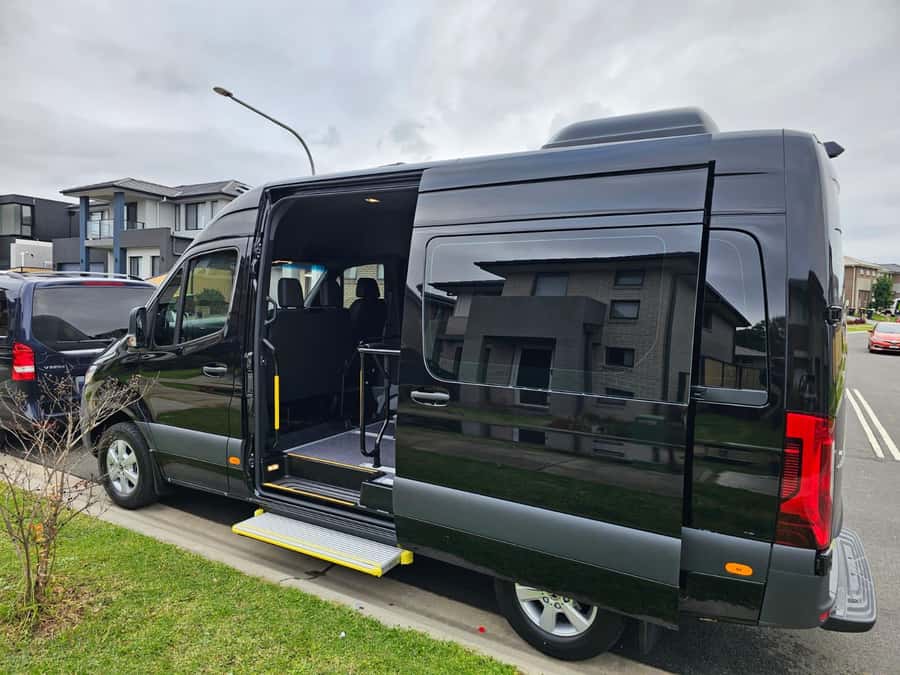 Blue Mountains: Private Tour with Wildlife and River Cruise - Scenic World and the three paid rides
