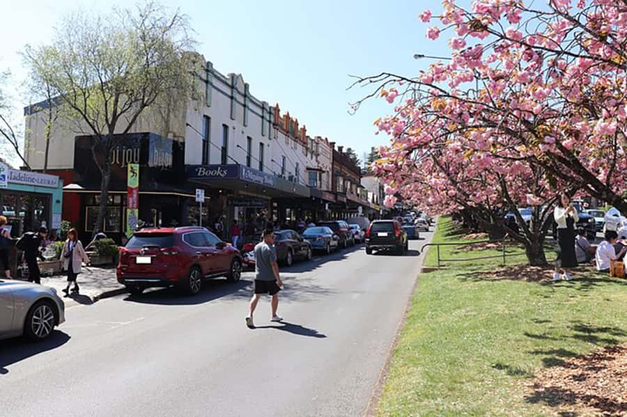 Blue Mountains: Private Tour with Wildlife and River Cruise - Katoomba Falls Lookout and the Blue Mountains views