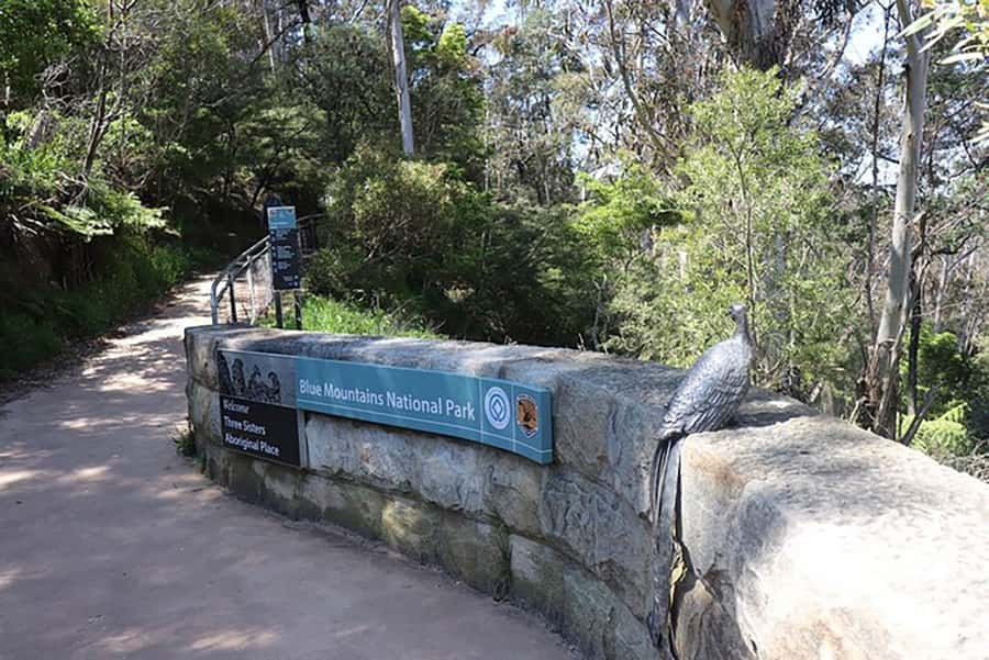 Blue Mountains: Private Tour with Wildlife and River Cruise - Leura Mall: useful stop, but lunch is on you