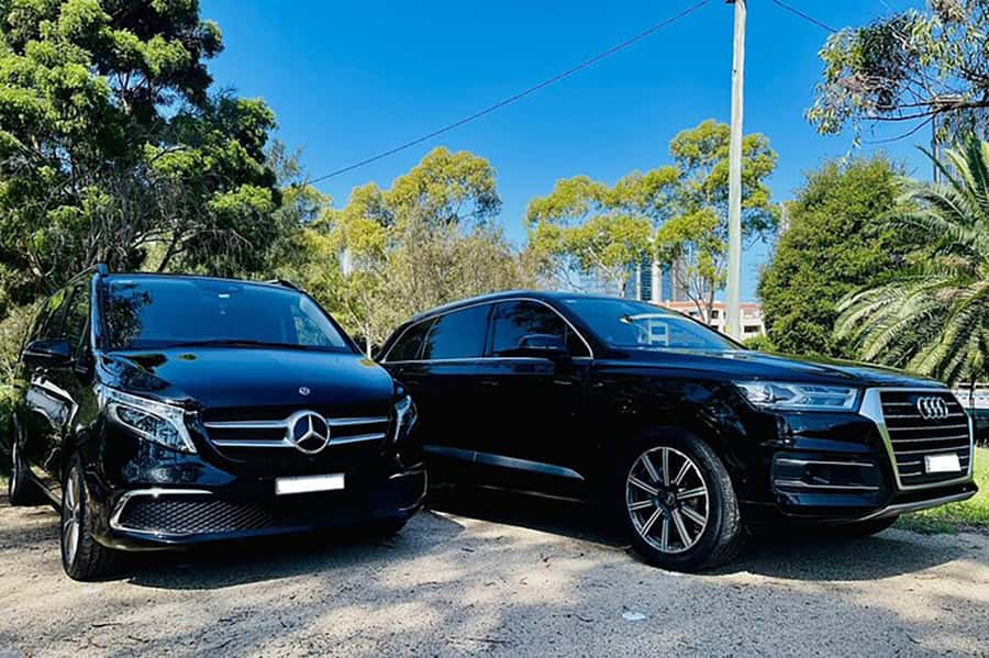 Blue Mountains: Private Tour with Wildlife and River Cruise - Does the private format justify $548?