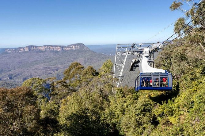Blue Mountains Small-Group Tour from Sydney with Scenic World,Sydney Zoo & Ferry - Scenic World: three rides and a rainforest walk