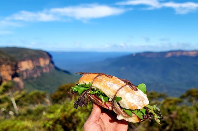 Blue Mountains Small Group Tour with Waterfall Walk & Fresh Lunch - What the guides add to the day