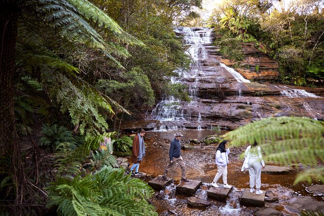 Blue Mountains Sunset Tour with Kangaroo Sightings from Sydney - Why the late start works so well