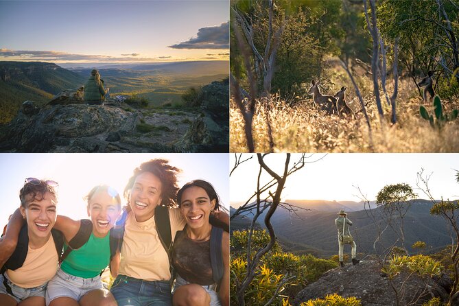 Blue Mountains Sunset Tour with Kangaroo Sightings from Sydney - Food, transport, and the true cost of the day